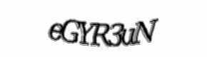 Security check image, please type the characters shown